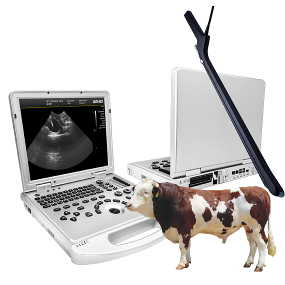ASP Junior+L3-VET+OPU probe