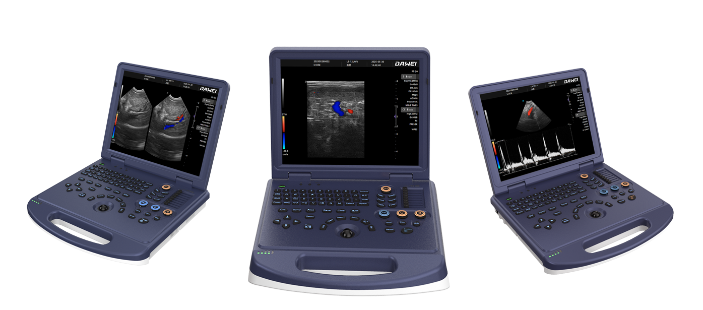 Comprehensive Pet Ultrasound Exams