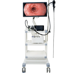 Veterinary Endoscopy System